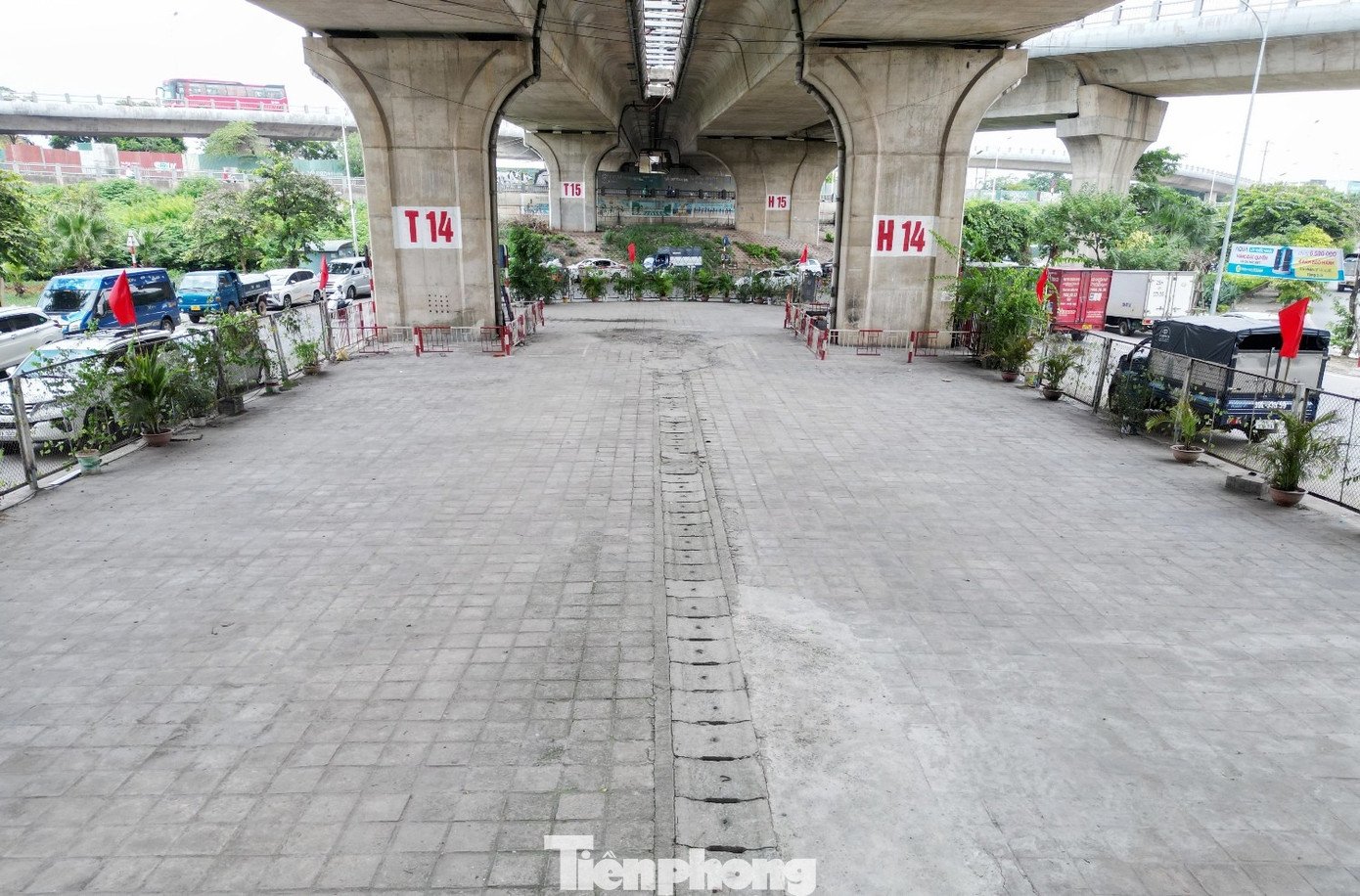 tp-3.jpg
