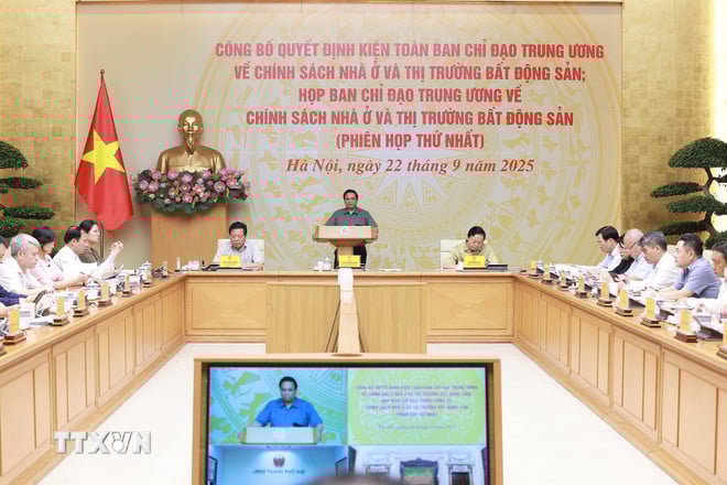 ttxvn-thu-tuong-chu-tri-phien-hop-lan-thu-nhat-cua-ban-chi-dao-trung-uong-ve-chinh-sach-nha-o-va-thi-truong-bat-dong-san-8289284-1.jpg