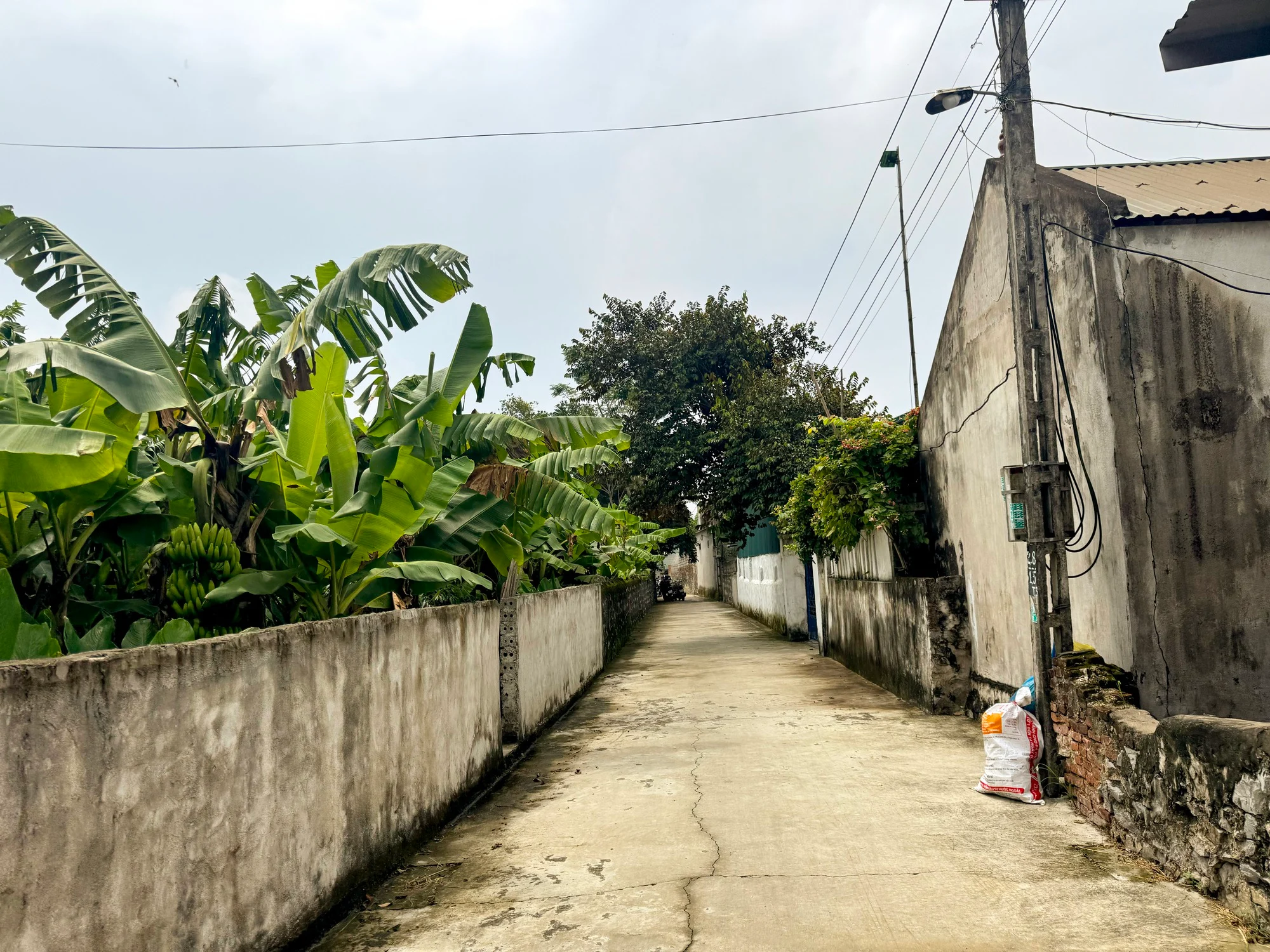 Tang thương tại thôn xóm nơi bé gái 8 tuổi bị anh họ sát hại: Lời nghẹn đắng của bố nạn nhân, hàng xóm tiết lộ điều không ngờ về nghi phạm- Ảnh 1.