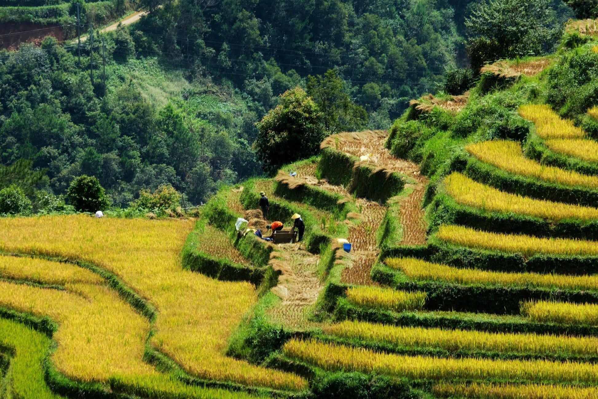 22-1758550204-homestay-mu-cang-chai-kin-phong-nhieu-thang-2026.jpg