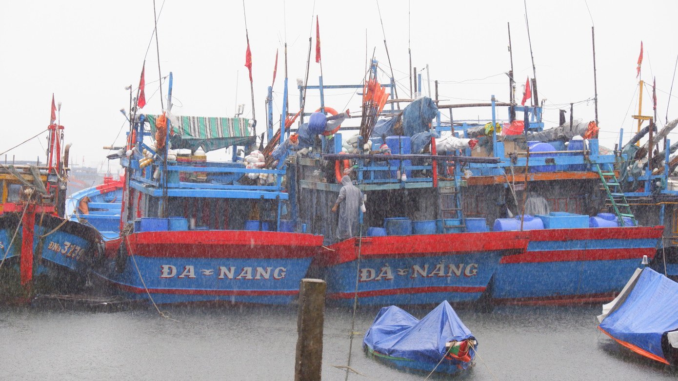 dscf7365.jpg