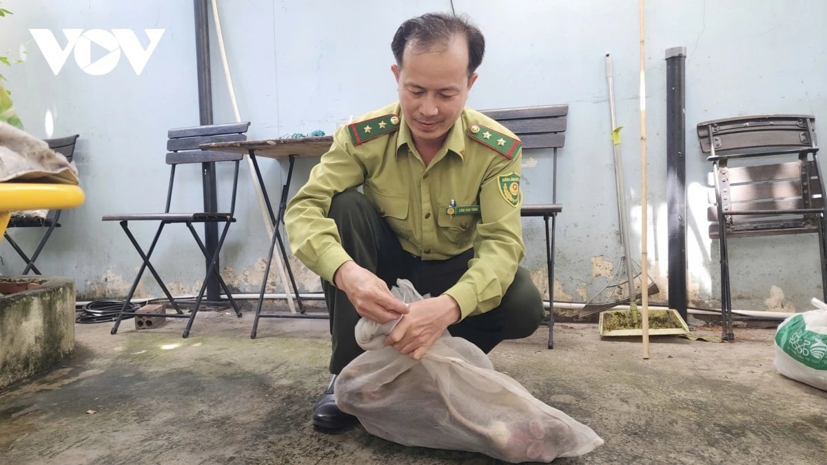 23-1758626578-tphcm-ban-thuoc-me-bat-giu-khi-duoi-lon-can-3-nguoi-bi-thuong.webp
