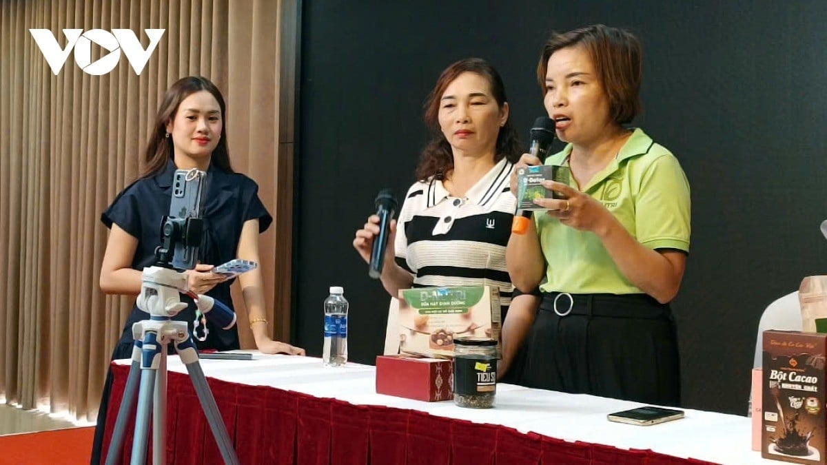 24-1758674765-ban-hang-online-thieu-hieu-biet-co-the-bi-phat-nang-vi-loi-it-ai-de-y.jpg
