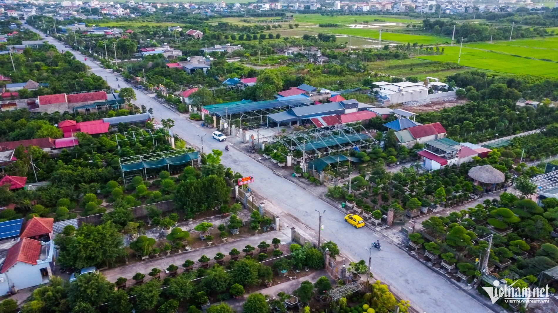 W-Vị khê.jpg