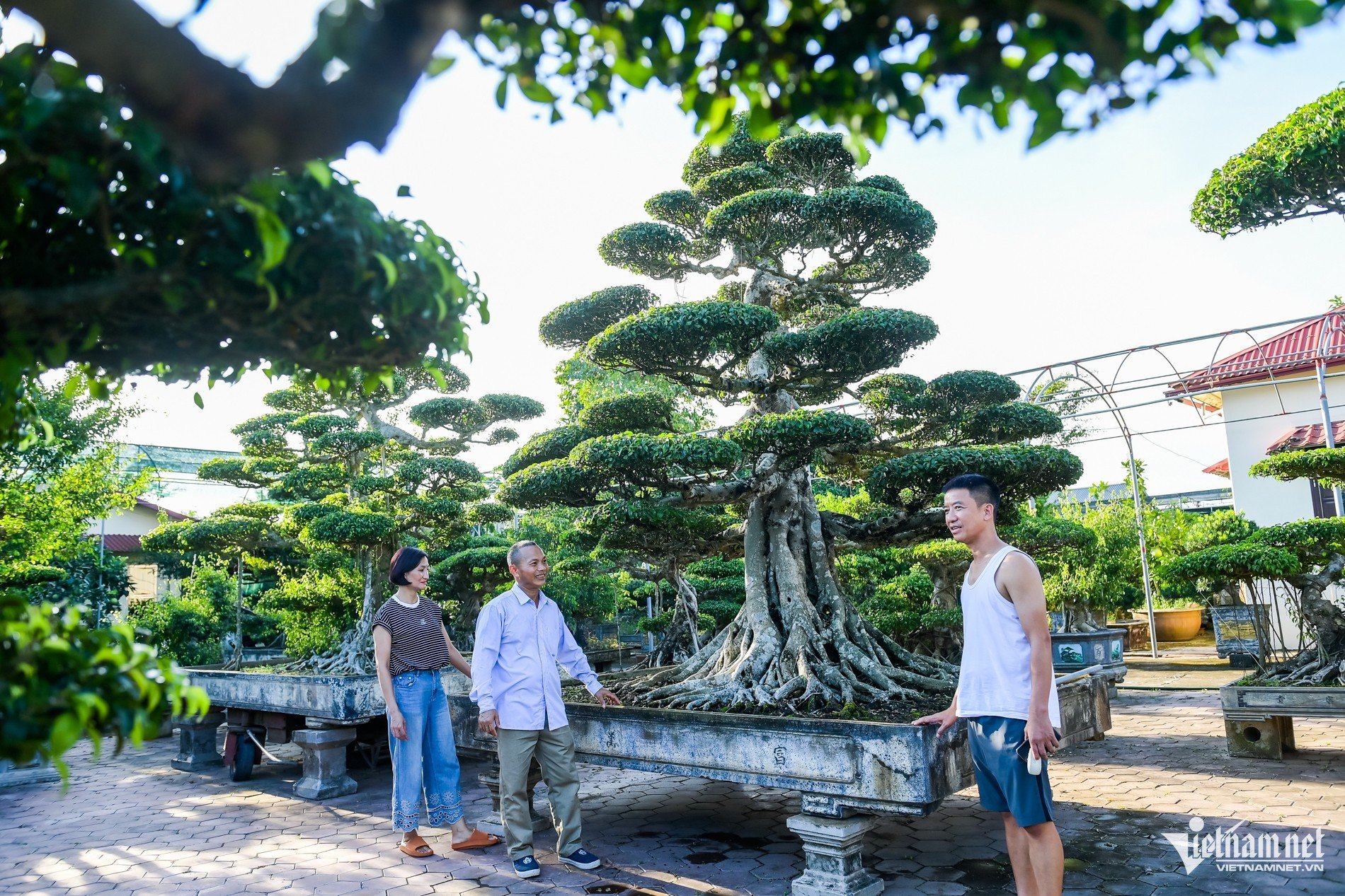 W-Vị khê.jpg