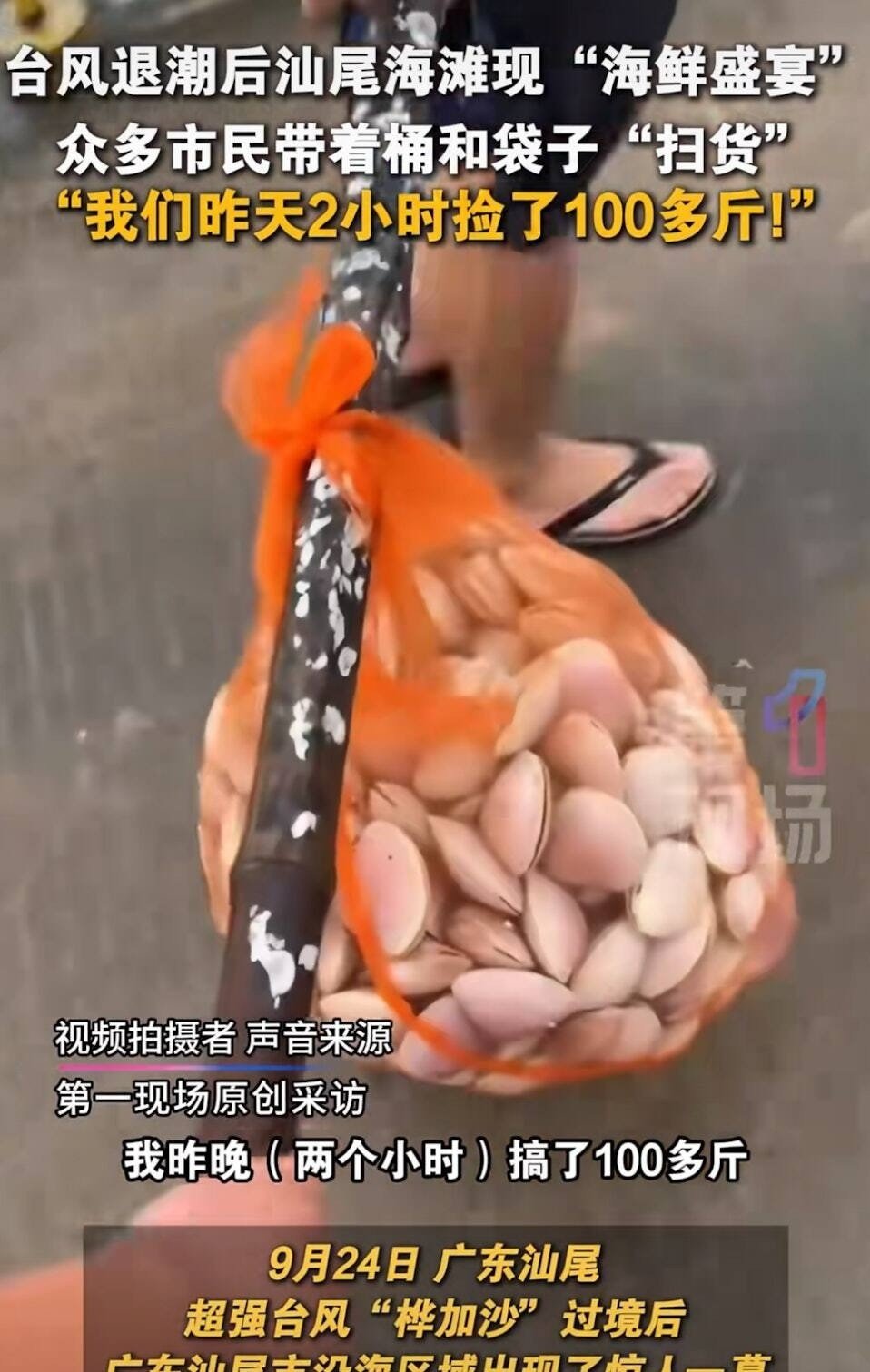 26-1758852691-nguoi-dan-do-xo-ra-duong-bat-ca-xuong-bien-nhat-hai-san-sau-bao-ragasa.jpg