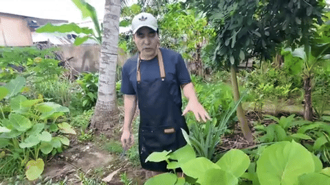 Nam diễn viên là 