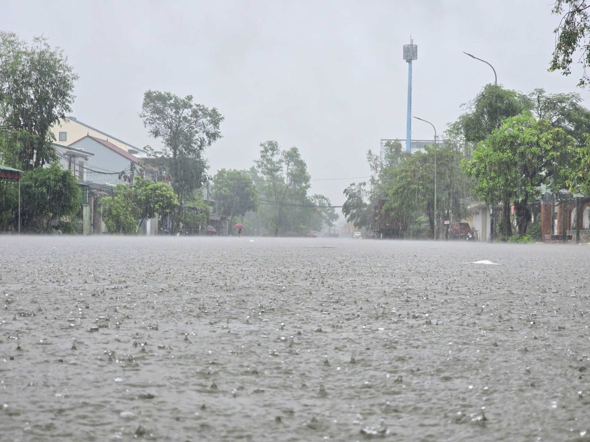 Nghệ An1.jpg