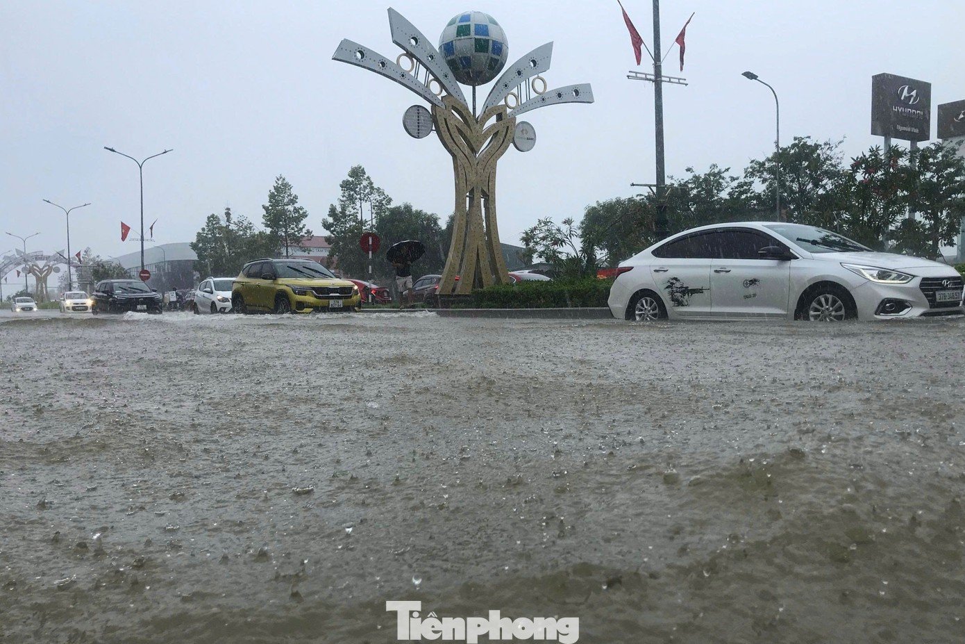 tp-33.jpg