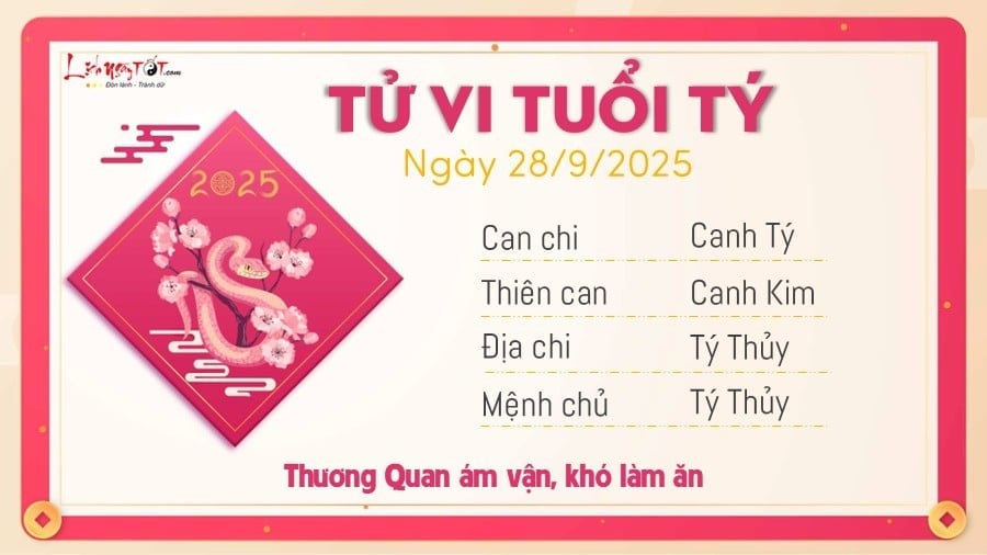 Tu vi hang ngay 28/9/2025 cua Ty