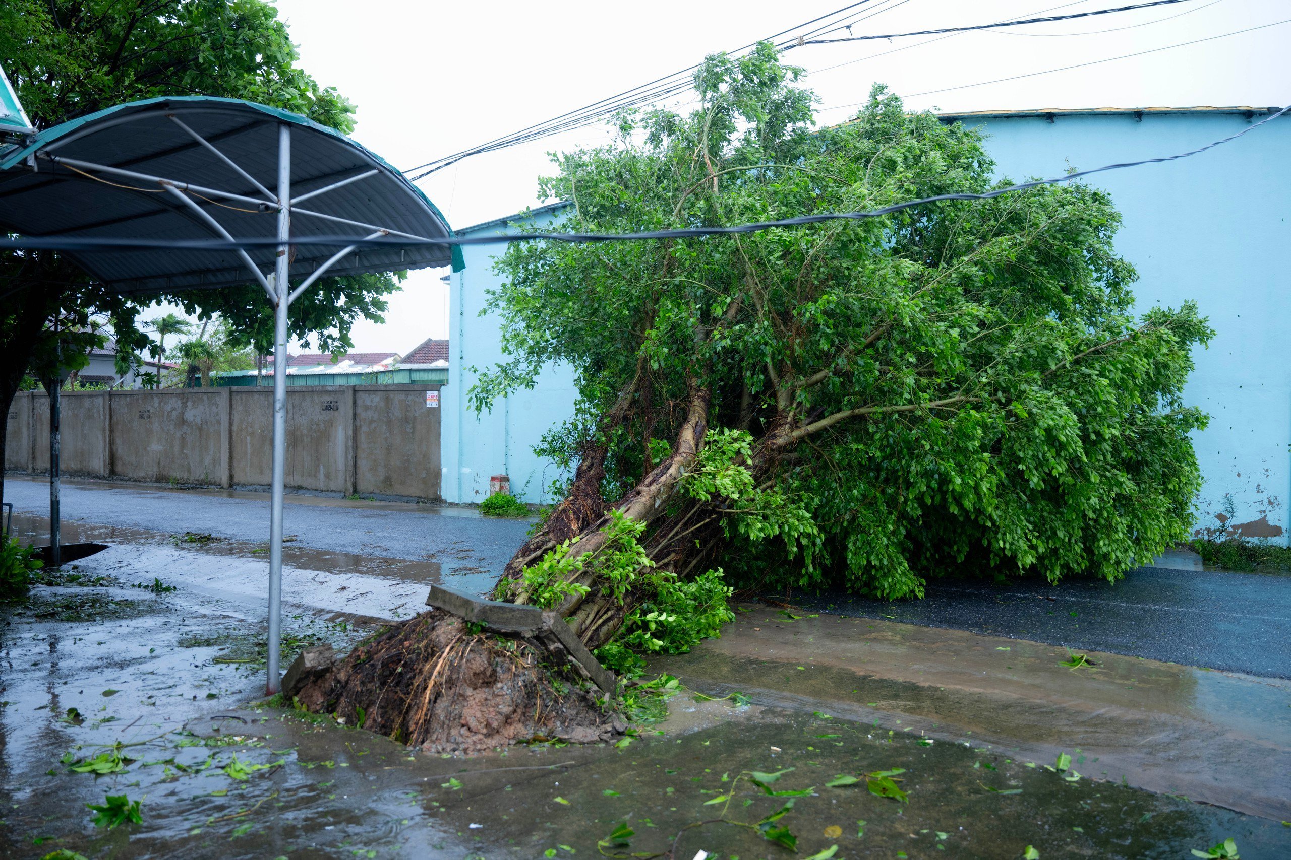 Bão số 10 Bualoi gây thiệt hại nặng nề: Lốc xoáy kéo sập nhiều nhà dân ở Ninh Bình, 6 người thiệt mạng- Ảnh 5.