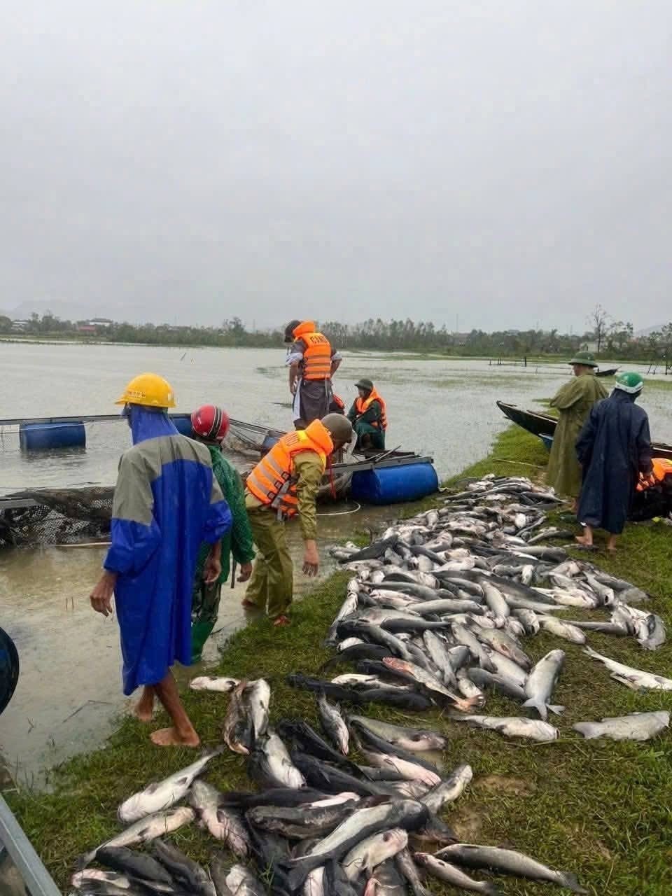 29-1759120965-bao-so-10-bualoi-quan-thao-dat-lien-cay-xanh-do-la-liet-nha-toc-mai-duong-bien-thanh-song.jpg