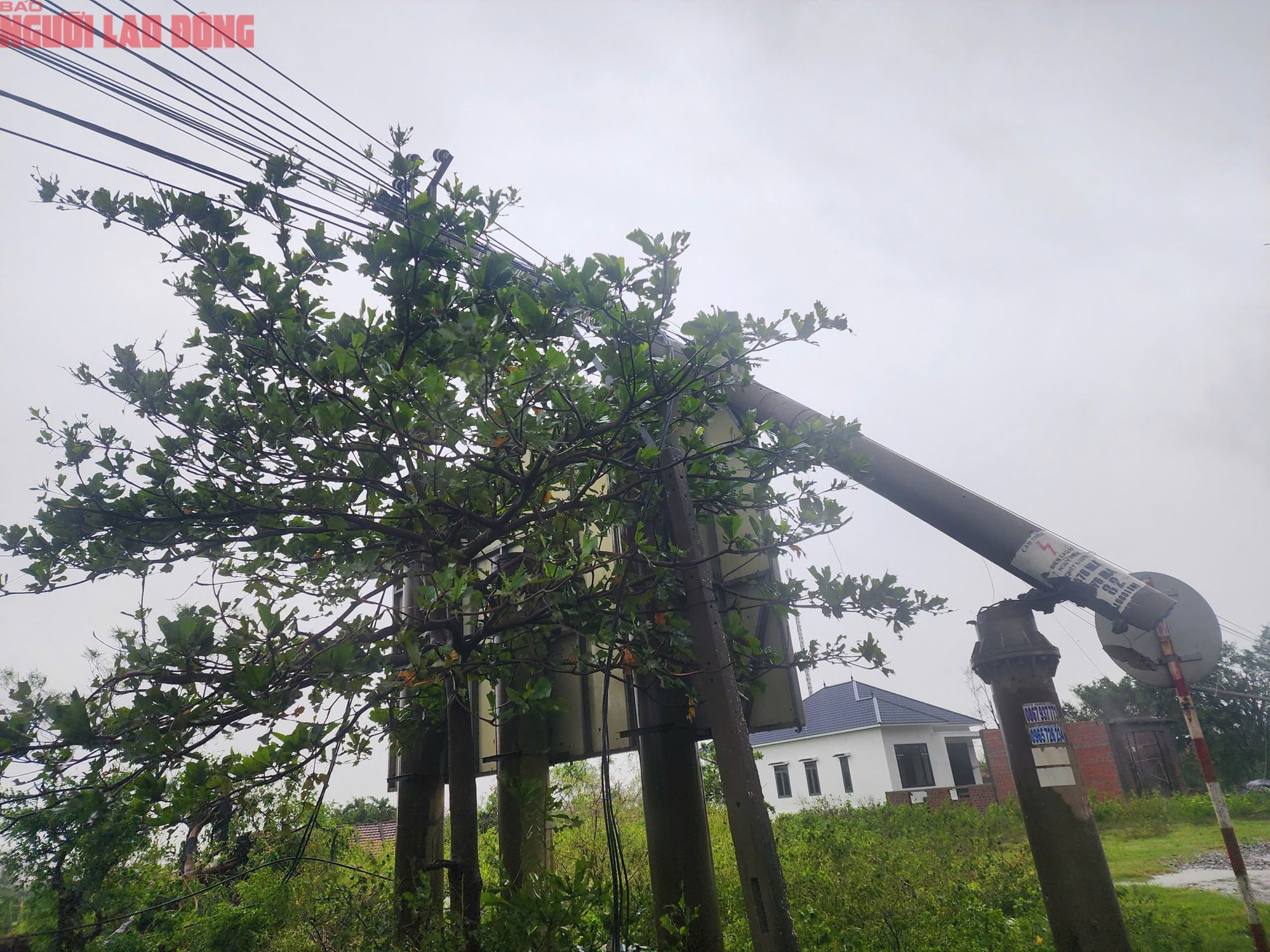 Quảng Trị sau bão số 10: Thiệt hại nặng nề tại xã Phú Trạch sau cơn bão - Ảnh 2.