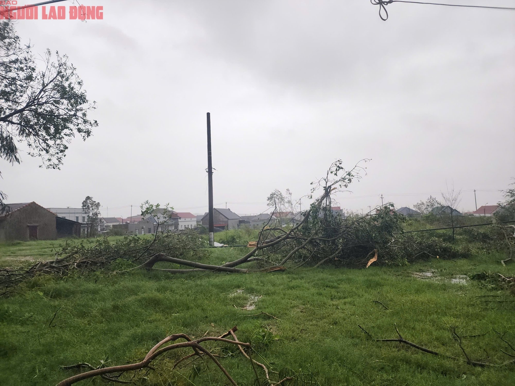 Quảng Trị sau bão số 10: Thiệt hại nặng nề tại xã Phú Trạch sau cơn bão - Ảnh 14.