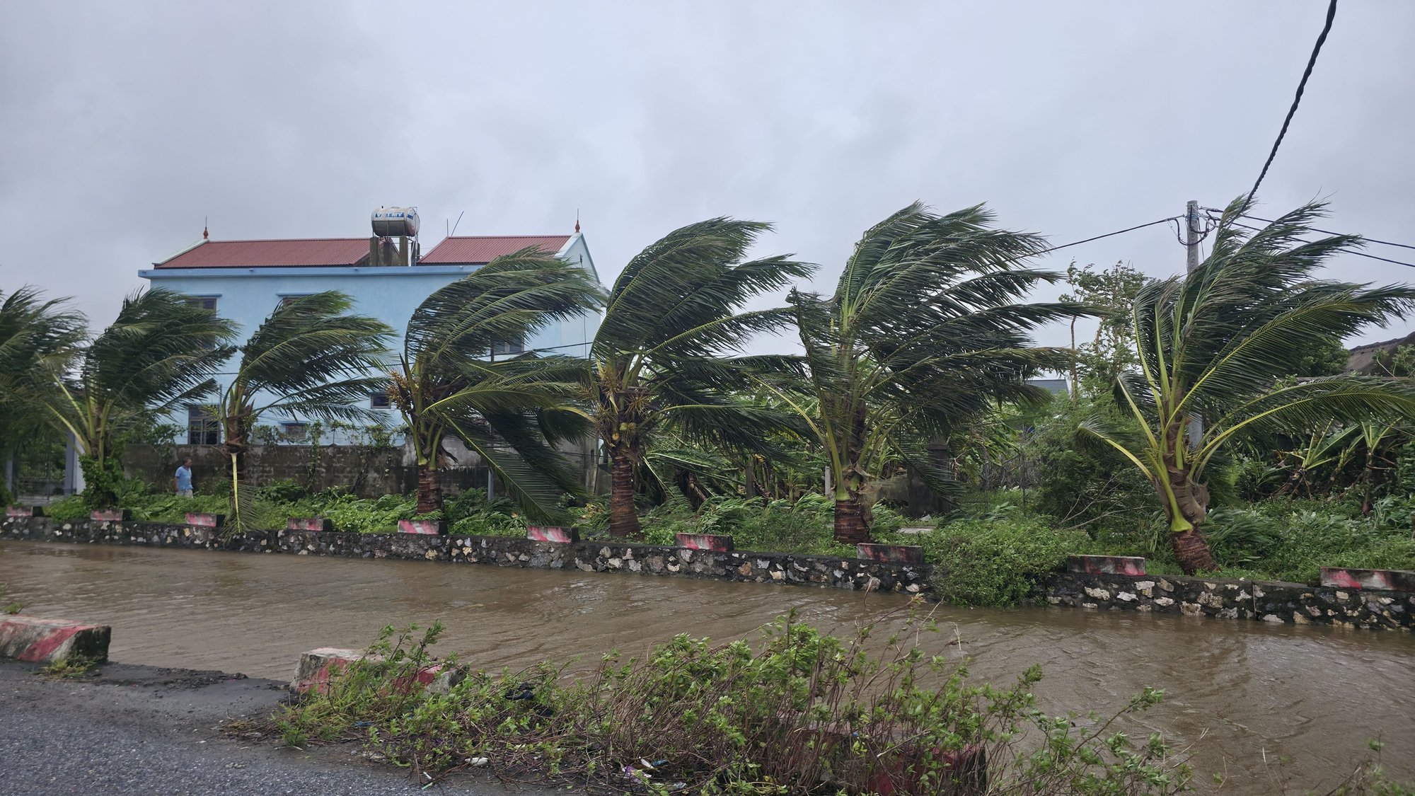“Nghe tiếng như máy bay lao thẳng xuống nhà” - người dân Ninh Bình bàng hoàng kể lại khoảnh khắc trong cơn giông lốc- Ảnh 5.