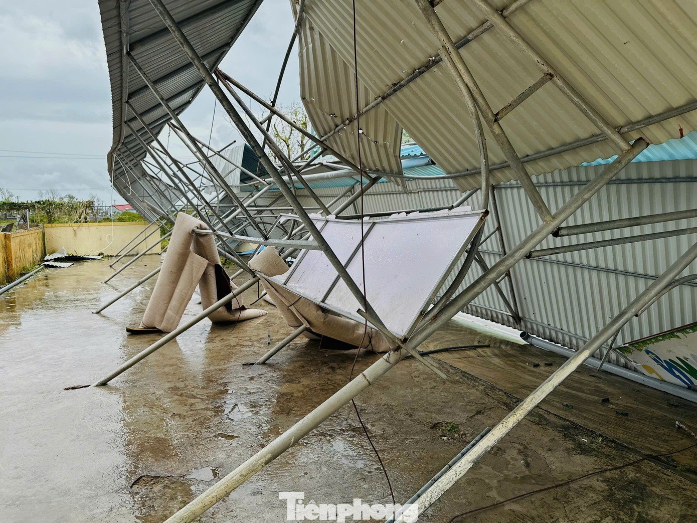 tp-jsgsl.jpg