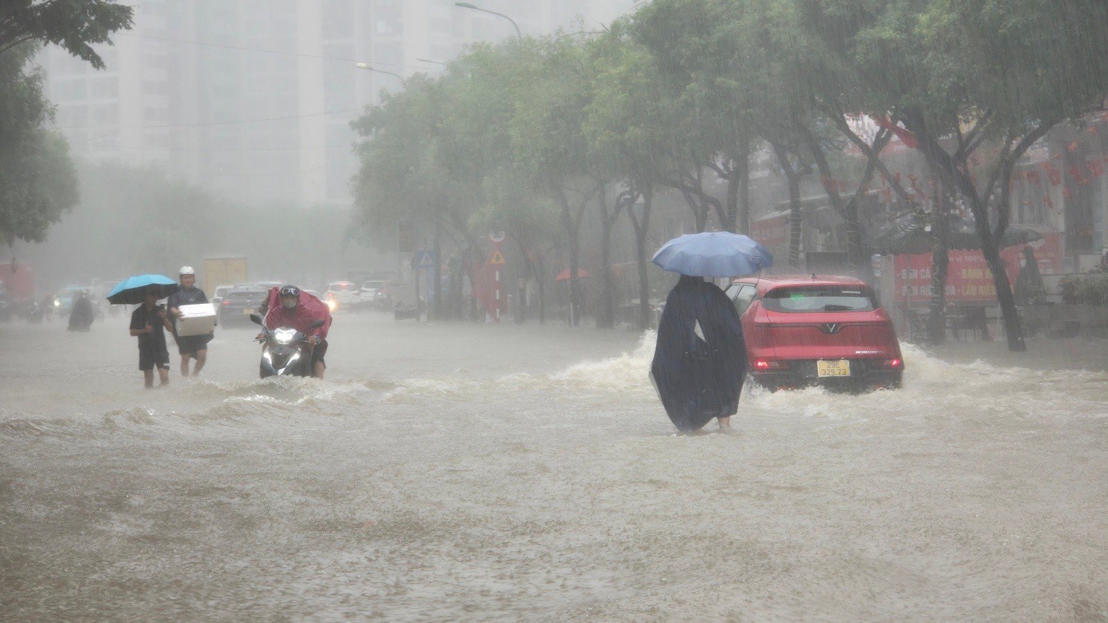 Mưa tầm tã không ngớt, 