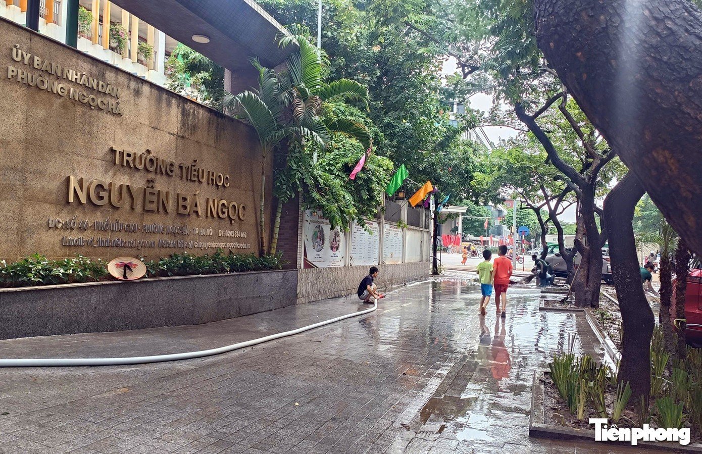 a6.jpg