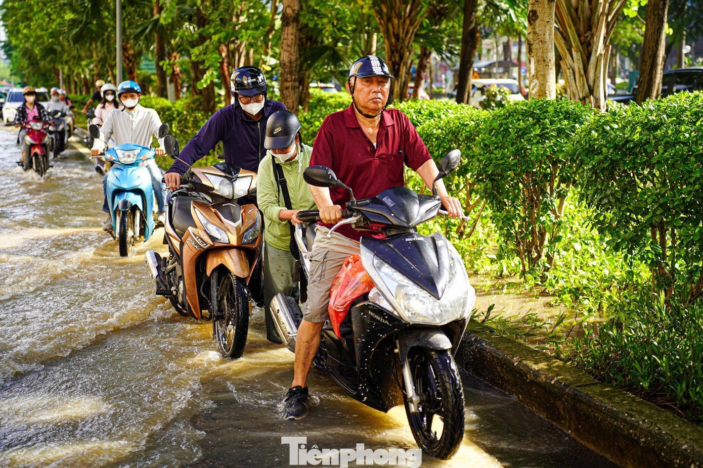 tp-tienphong-4.jpg