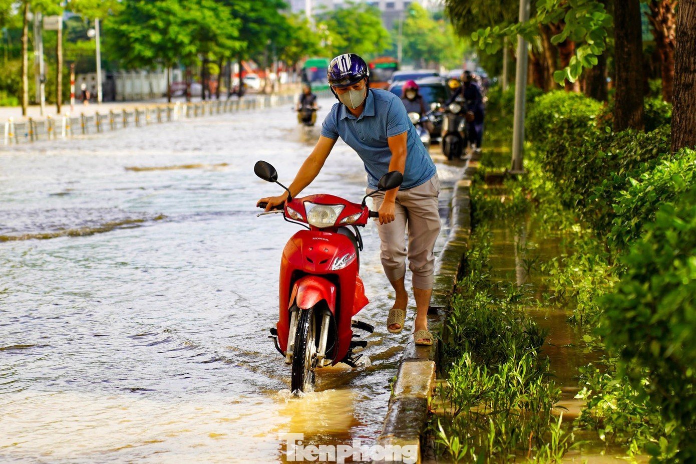 tp-tienphong-5.jpg