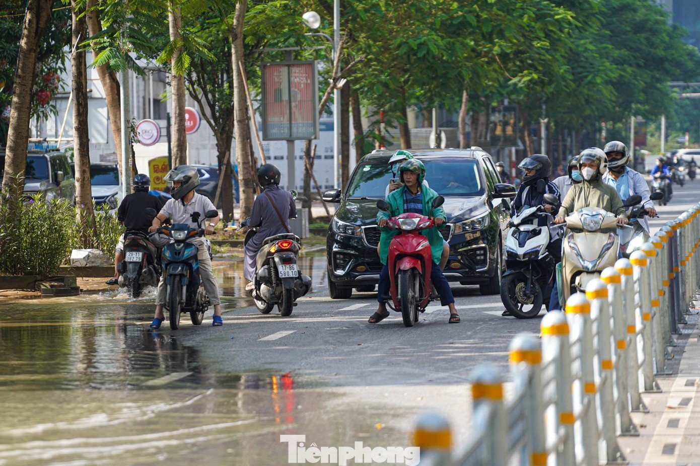 tp-tienphong-12.jpg