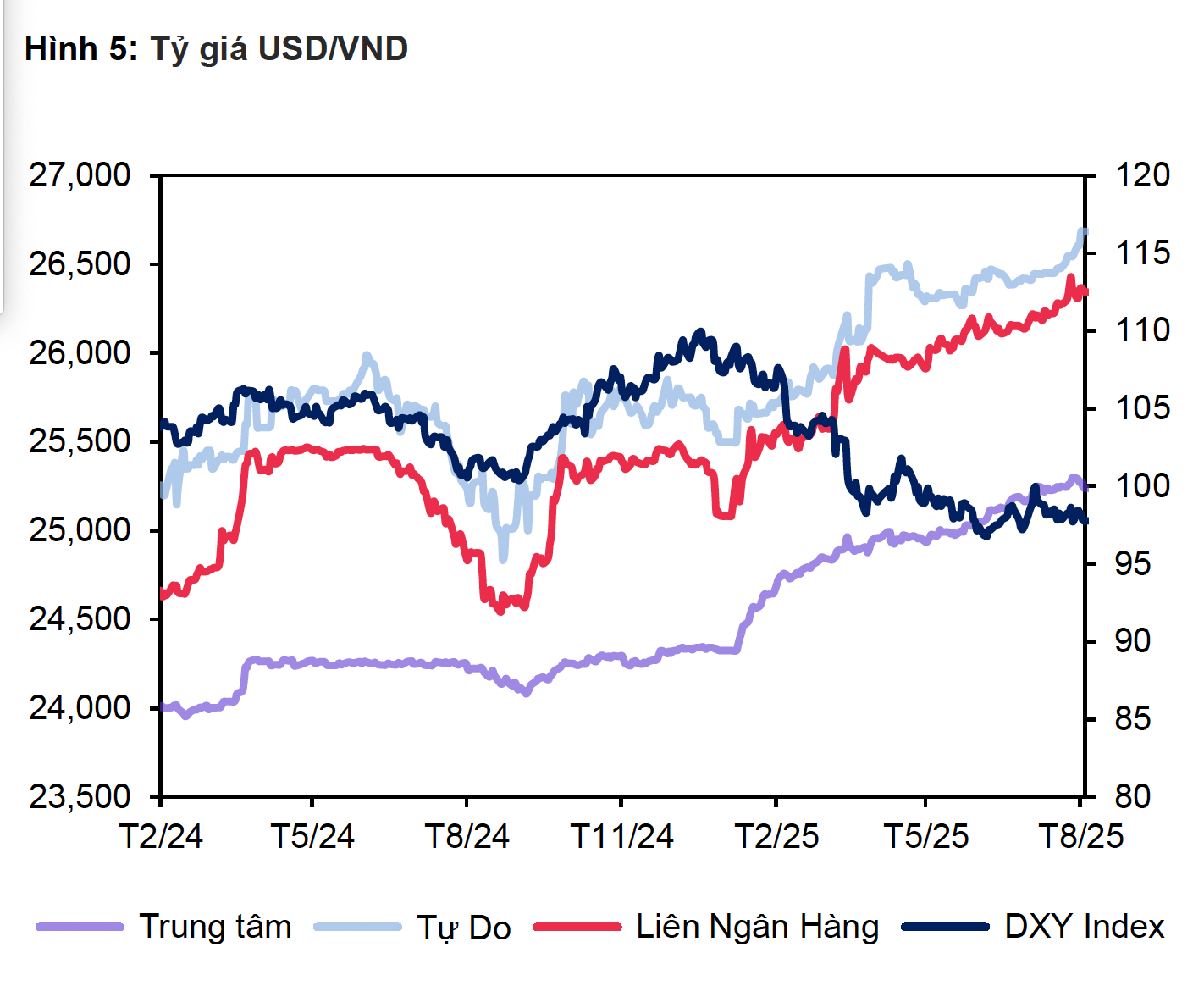 Giá USD tại ngân hàng giảm mạnh: Tình hình tỉ giá Việt Nam hiện nay - Ảnh 3.