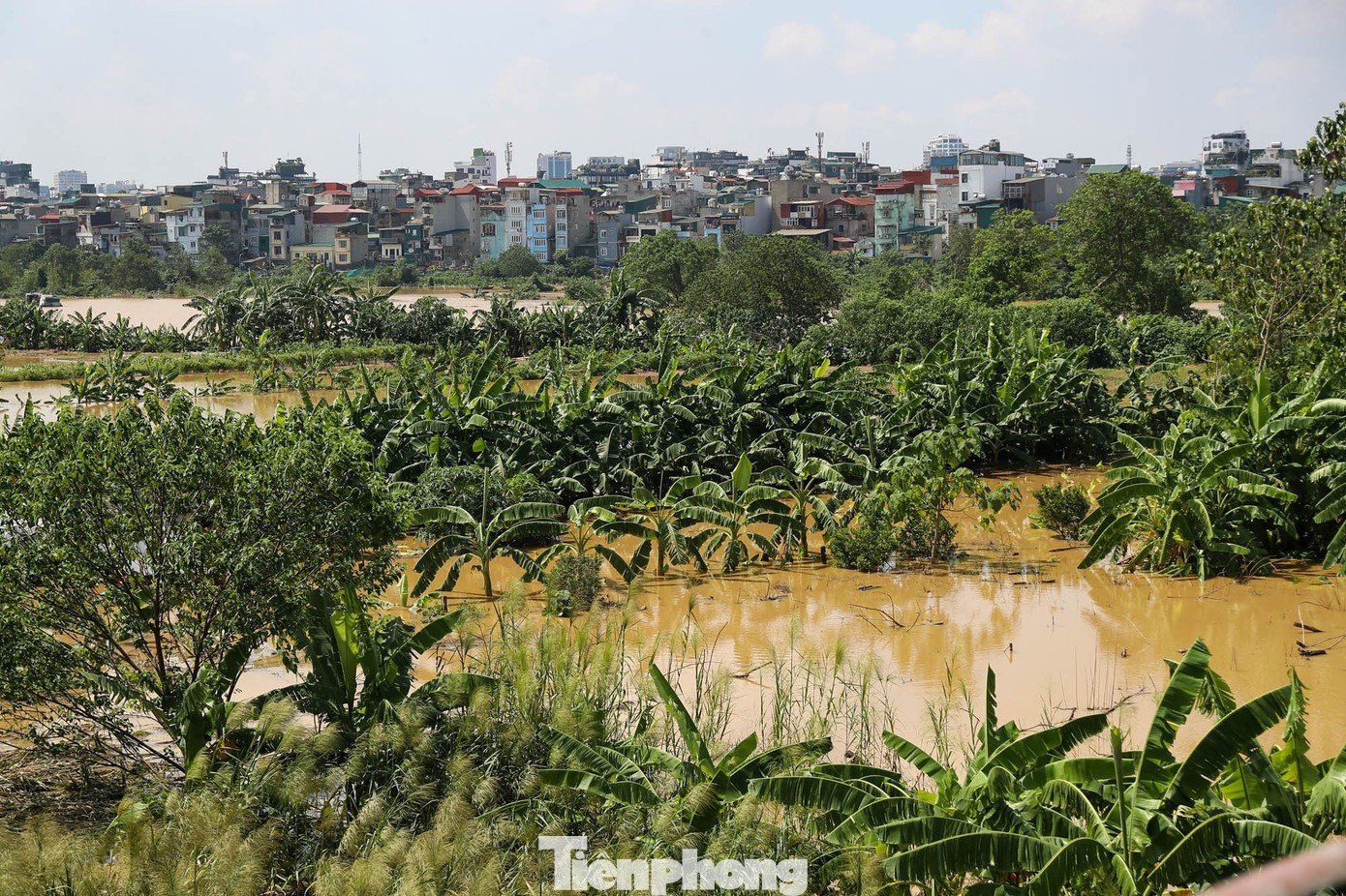 tp-tienphong-33.jpg