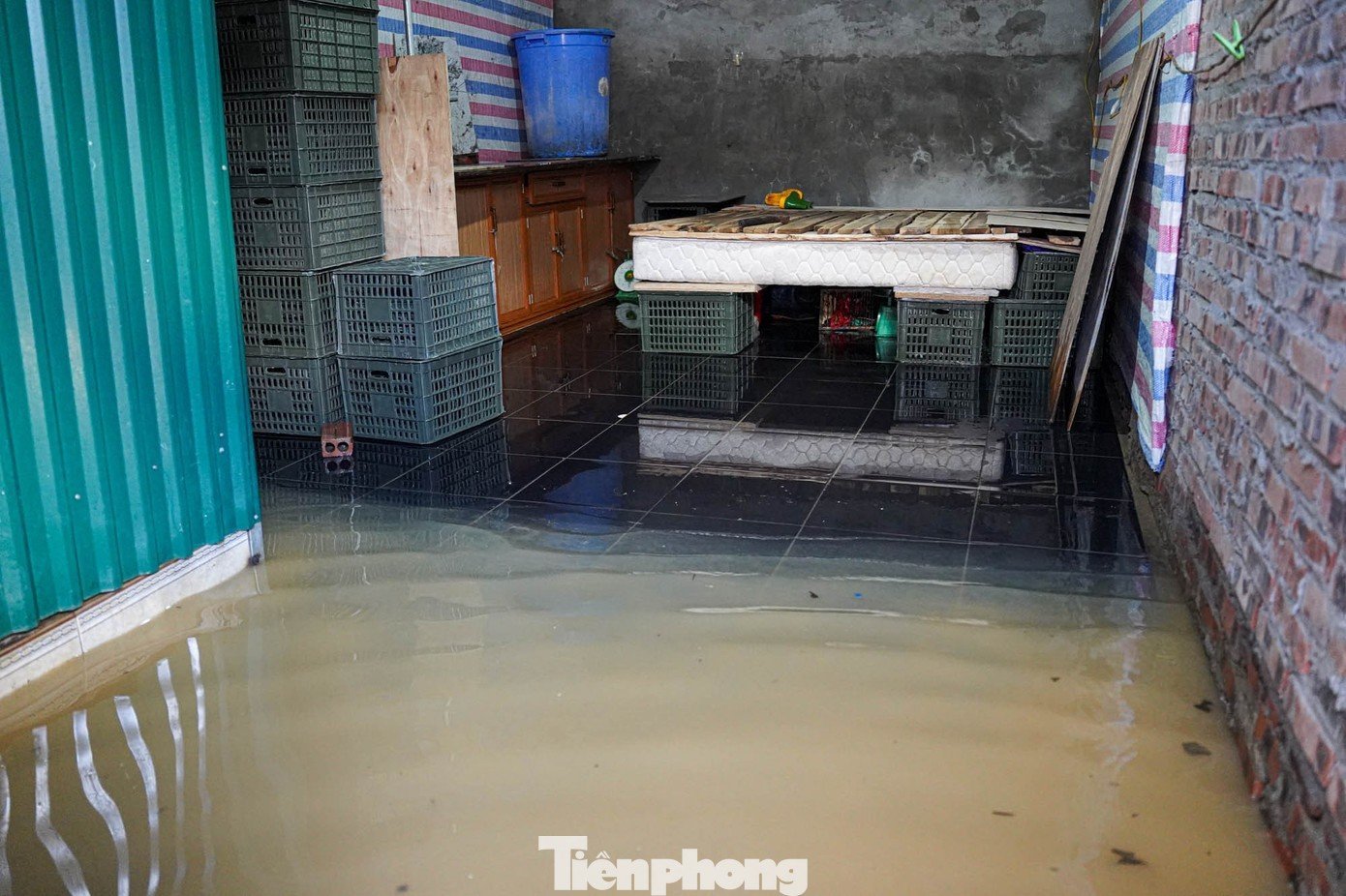 tp-tienphong-13-7667.jpg