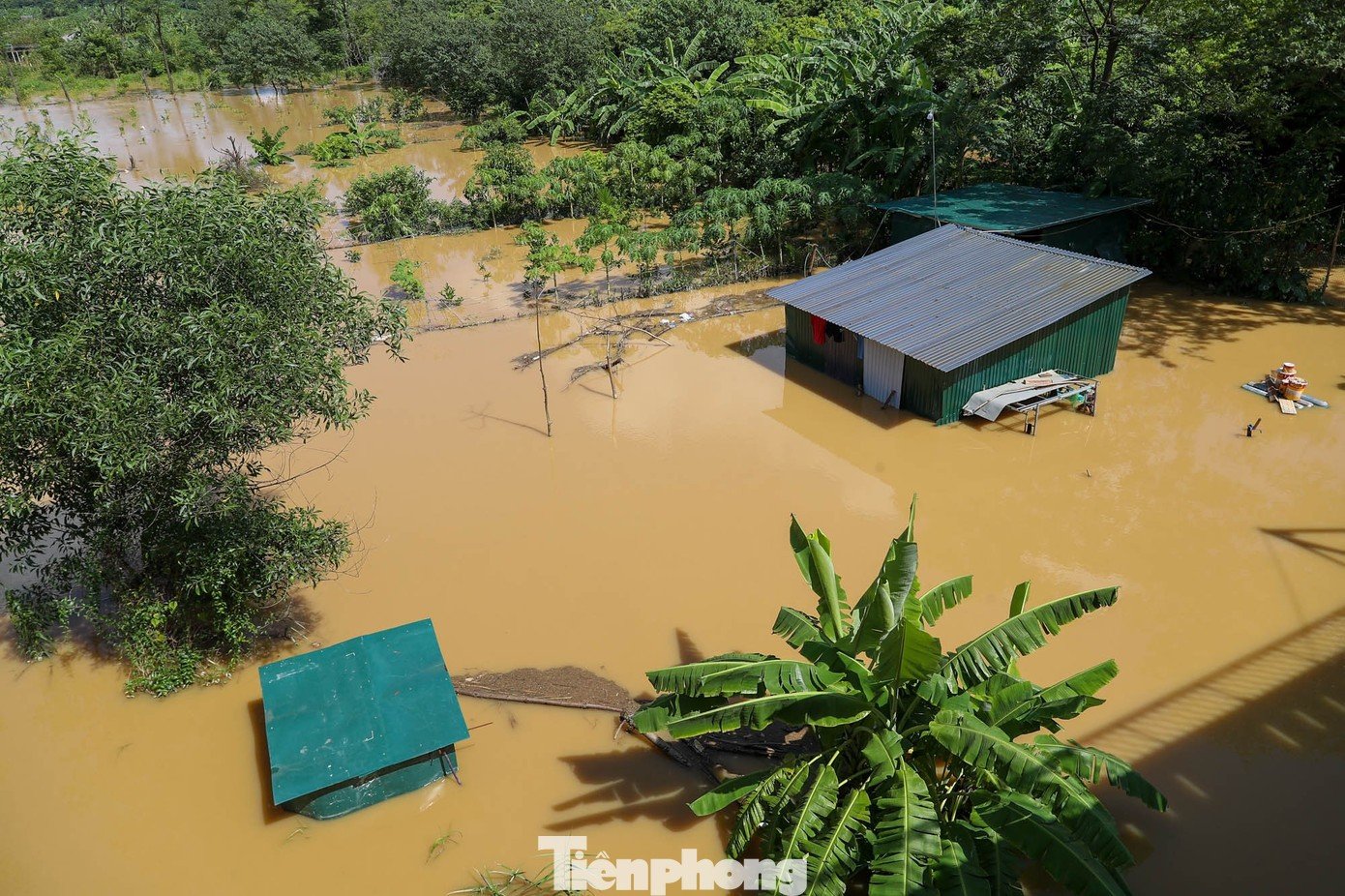 tp-tienphong-30.jpg