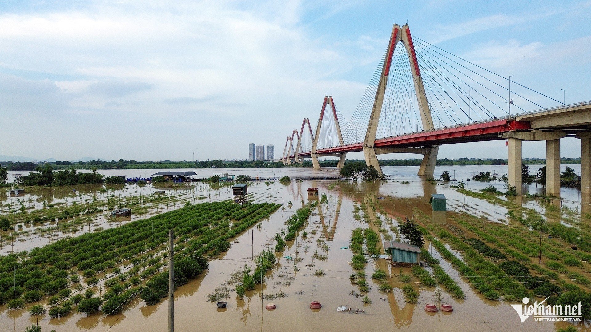 1 dao nhat tan 0427 3442.jpg