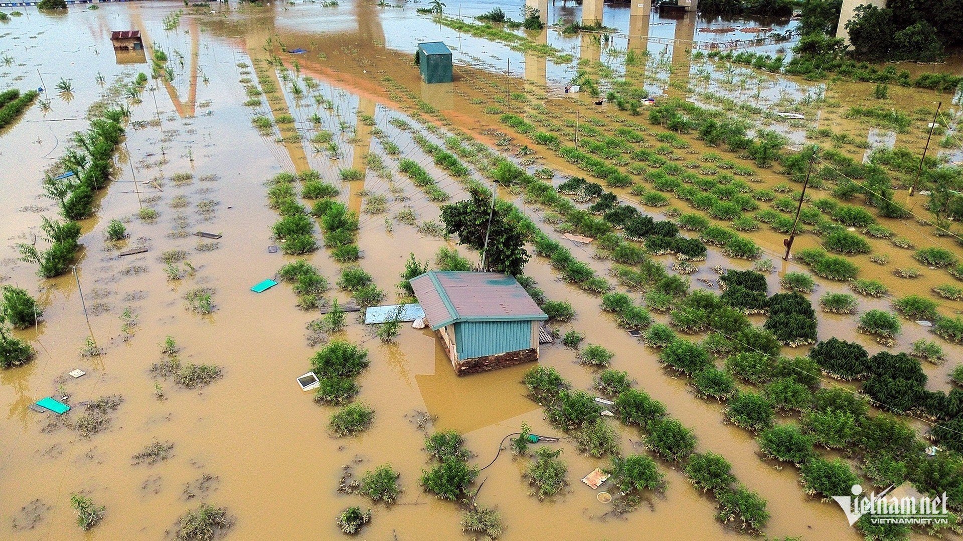 W-2 dao Nhat Tan_0441.jpg