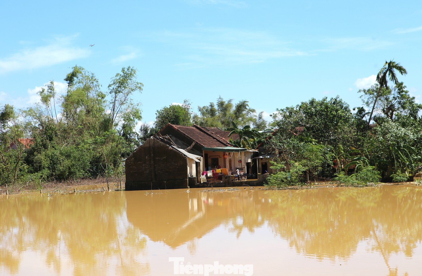 tp-anh-1.jpg