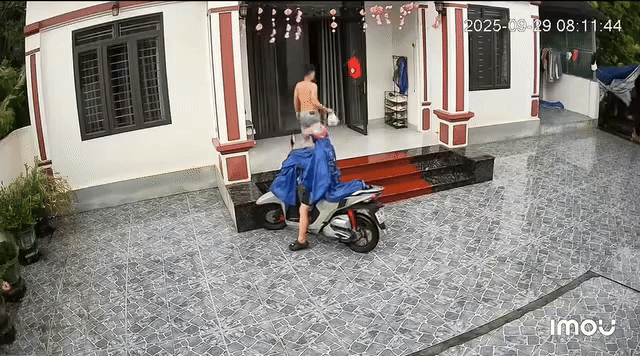 04-1759543625-clip-vo-bi-nga-xe-chong-co-phan-ung-khien-dan-mang-tranh-cai.gif