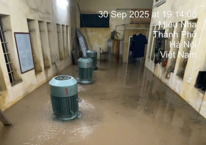 Nước lũ 5 ngày chưa rút, người Hà Nội đến phường trải chiếu 'cầu cứu'- Ảnh 9.