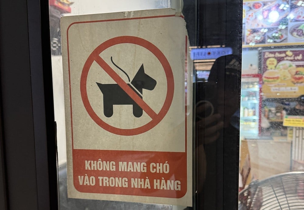 cho meo vao quan.jpg