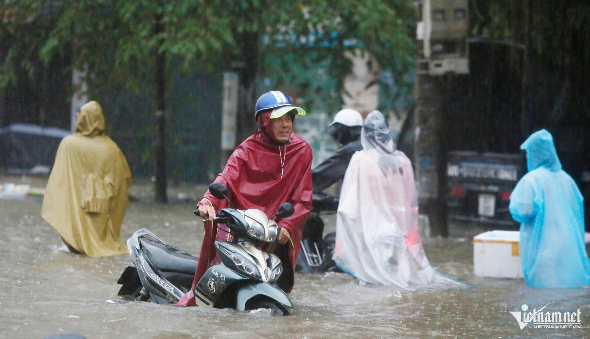 W-mua ngap HN Dinh Thanh.jpg