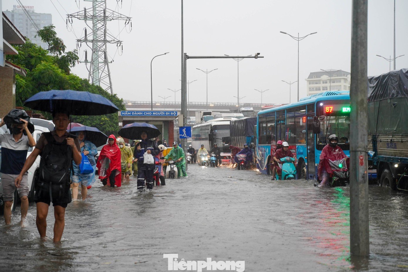 tp-tienphong-23.jpg