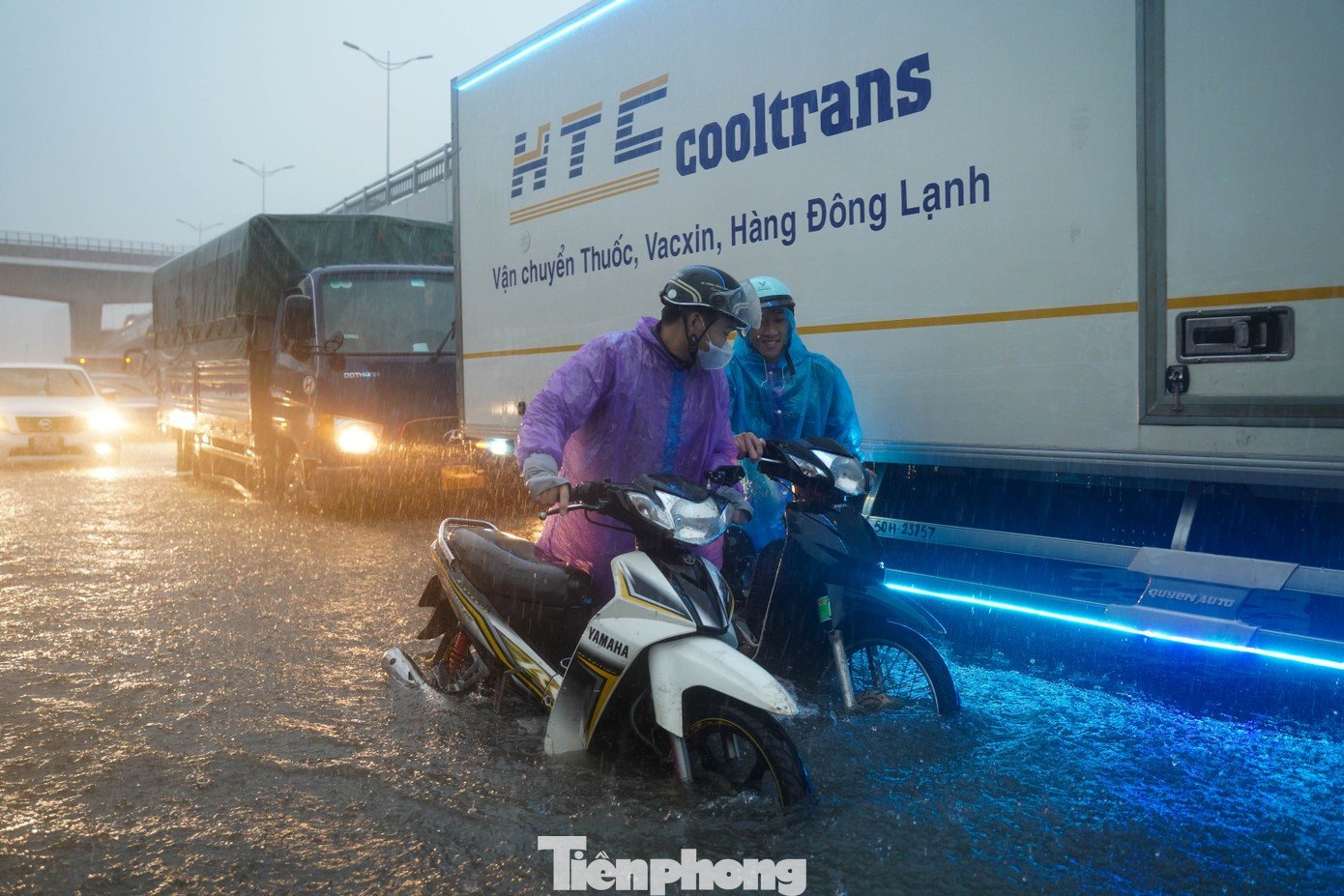 tp-tienphong-19.jpg