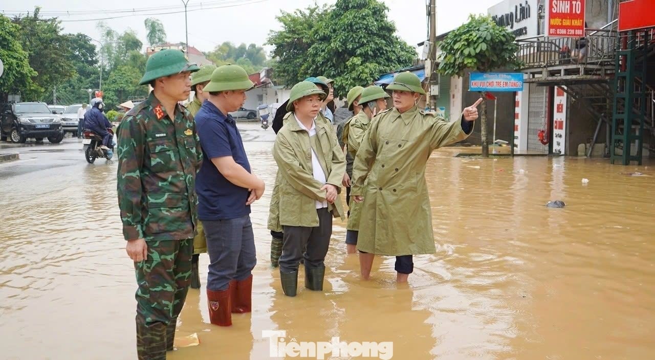 tp-b.jpg