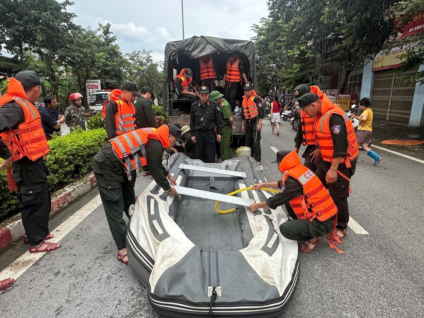 d5.jpg