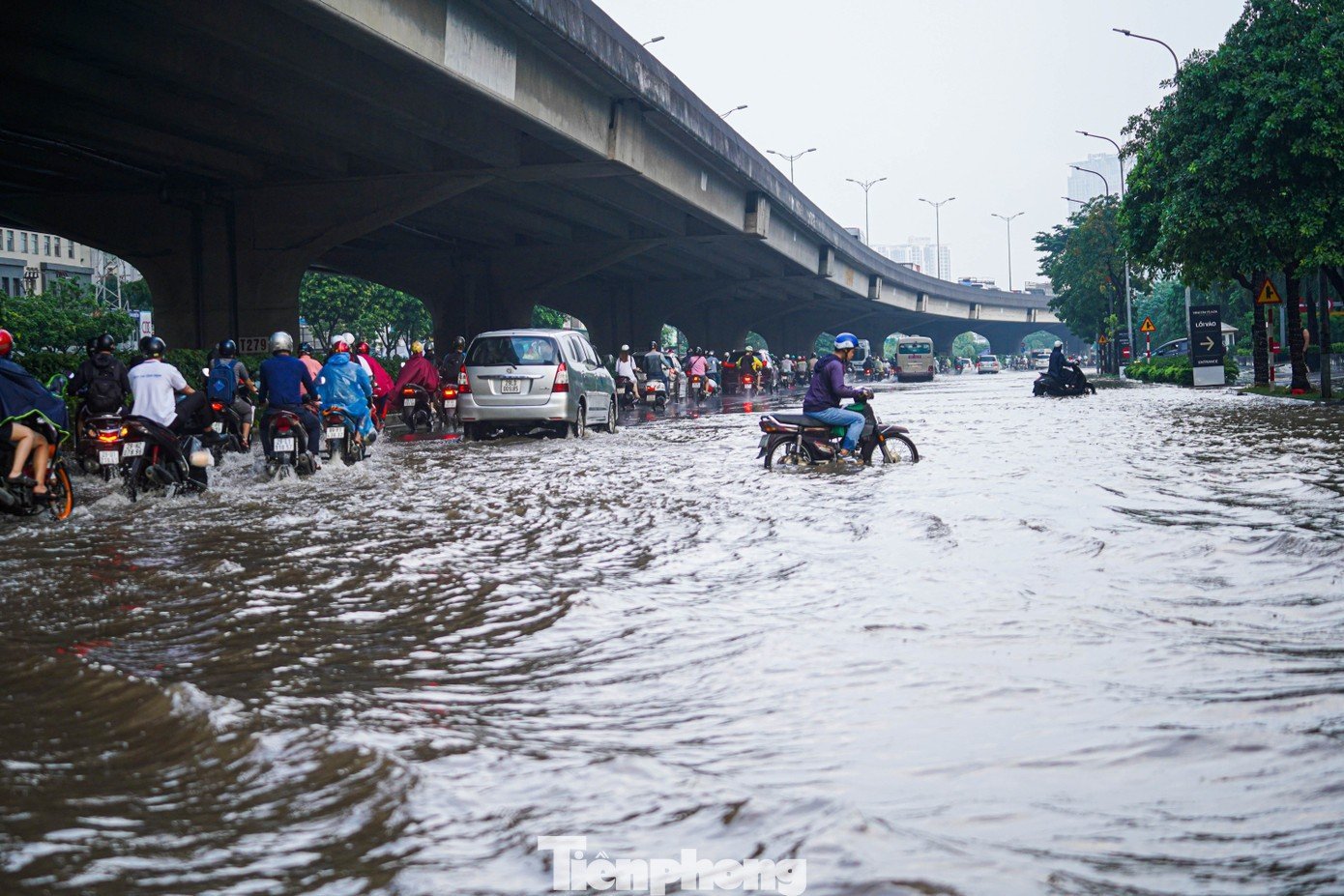 tp-tienphong-12.jpg