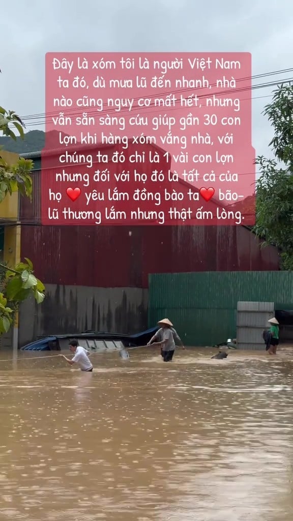 Các