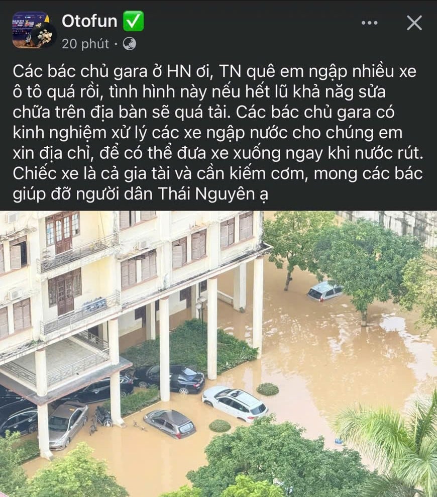 nho CĐM Otofun.jpg