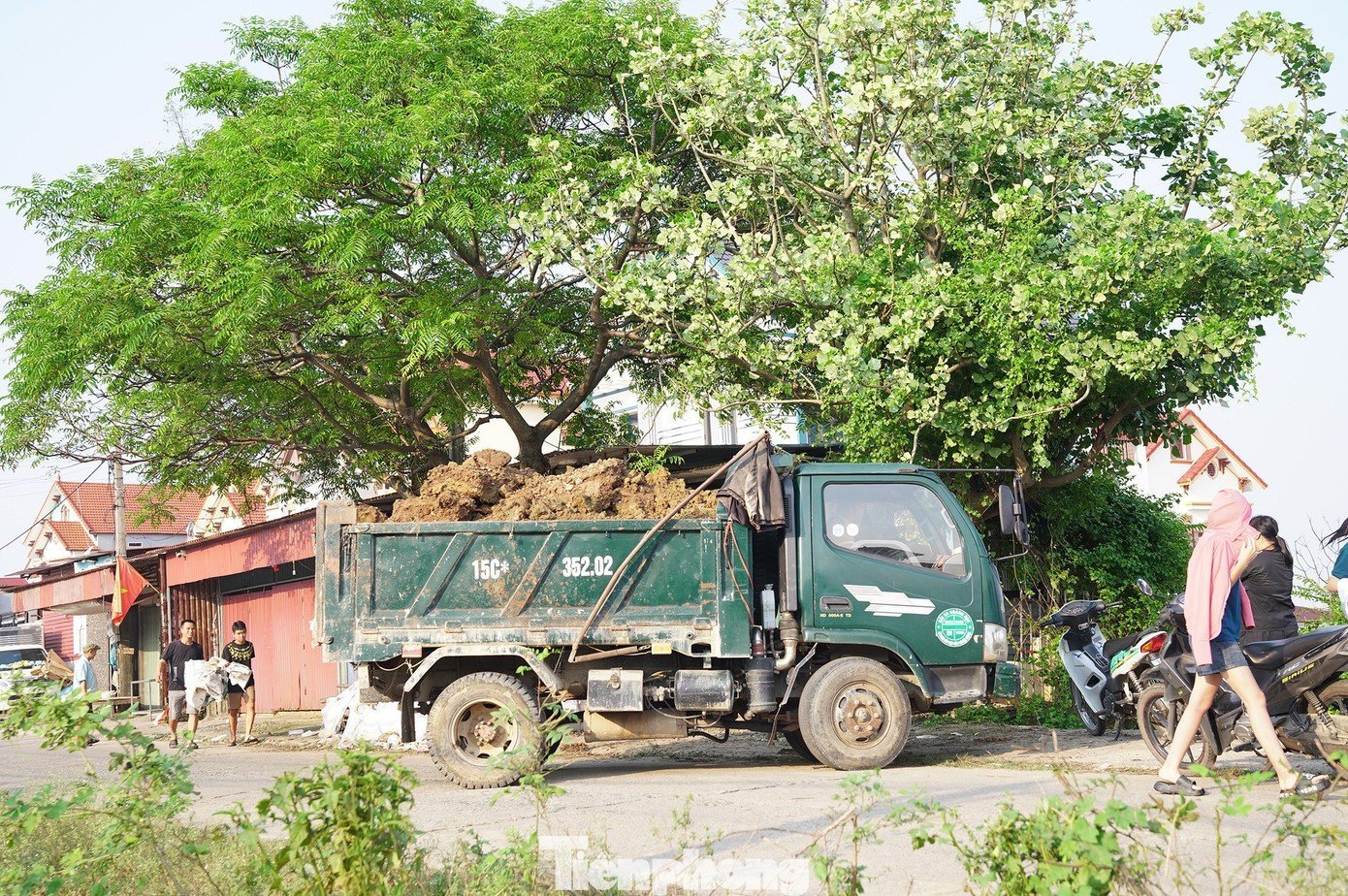 tp-tm06582.jpg