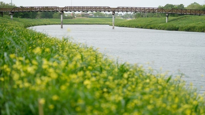 Cảnh sát Mỹ bất ngờ phát hiện hàng loạt thi thể trôi trên sông ở Texas: Chuyện gì đã xảy ra?- Ảnh 1.