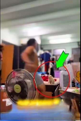 Người đàn ông bất ngờ bị công ty sa thải, xem đoạn clip từ camera nhiều netizen hoàn toàn đồng tình- Ảnh 1.