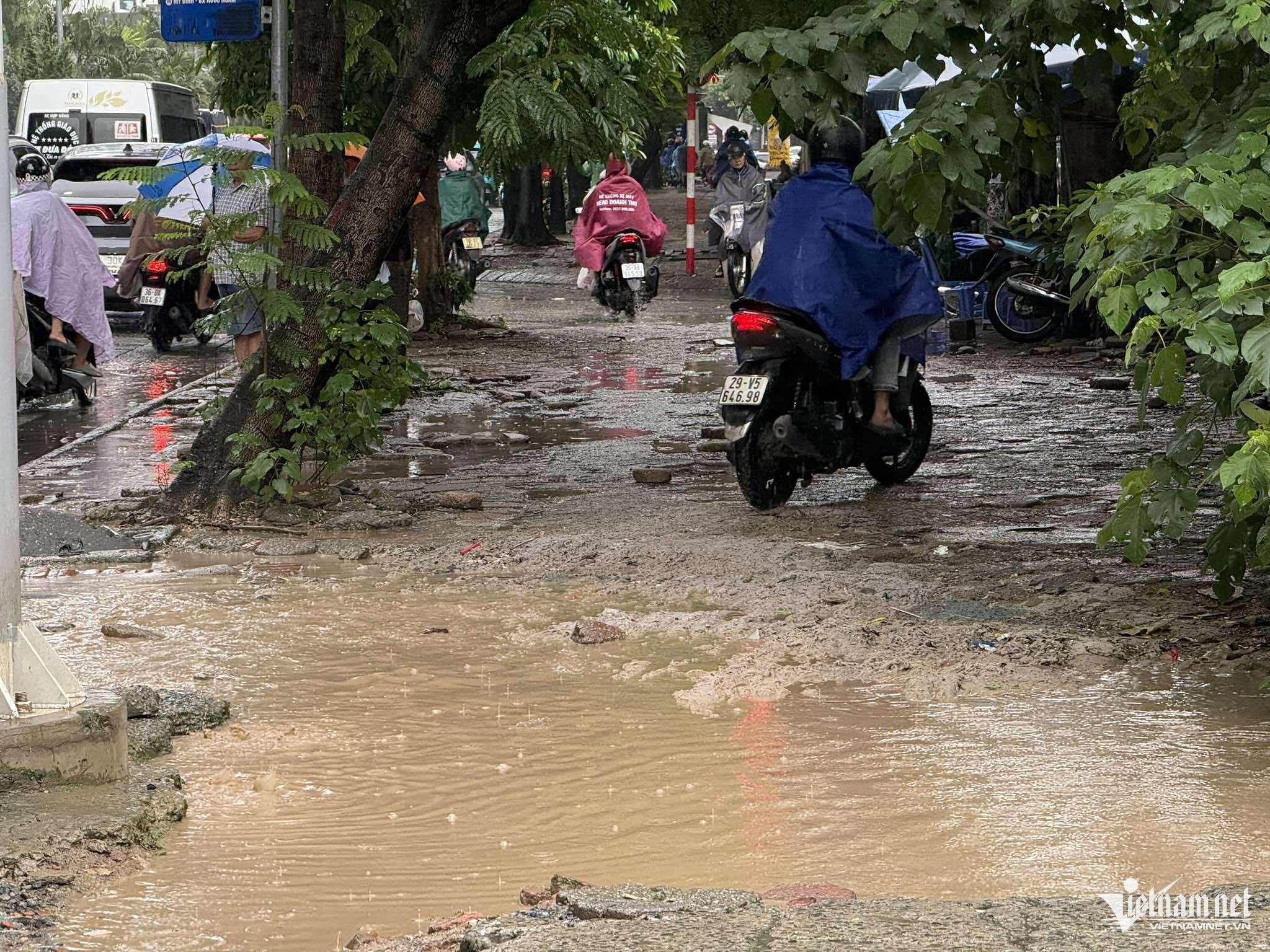 W-563764934_784752981127080_1992583278135591629_n.jpg