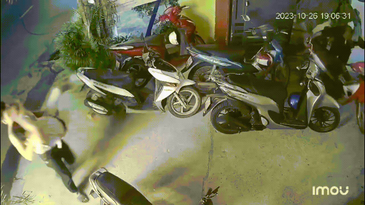 7113790113992.gif
