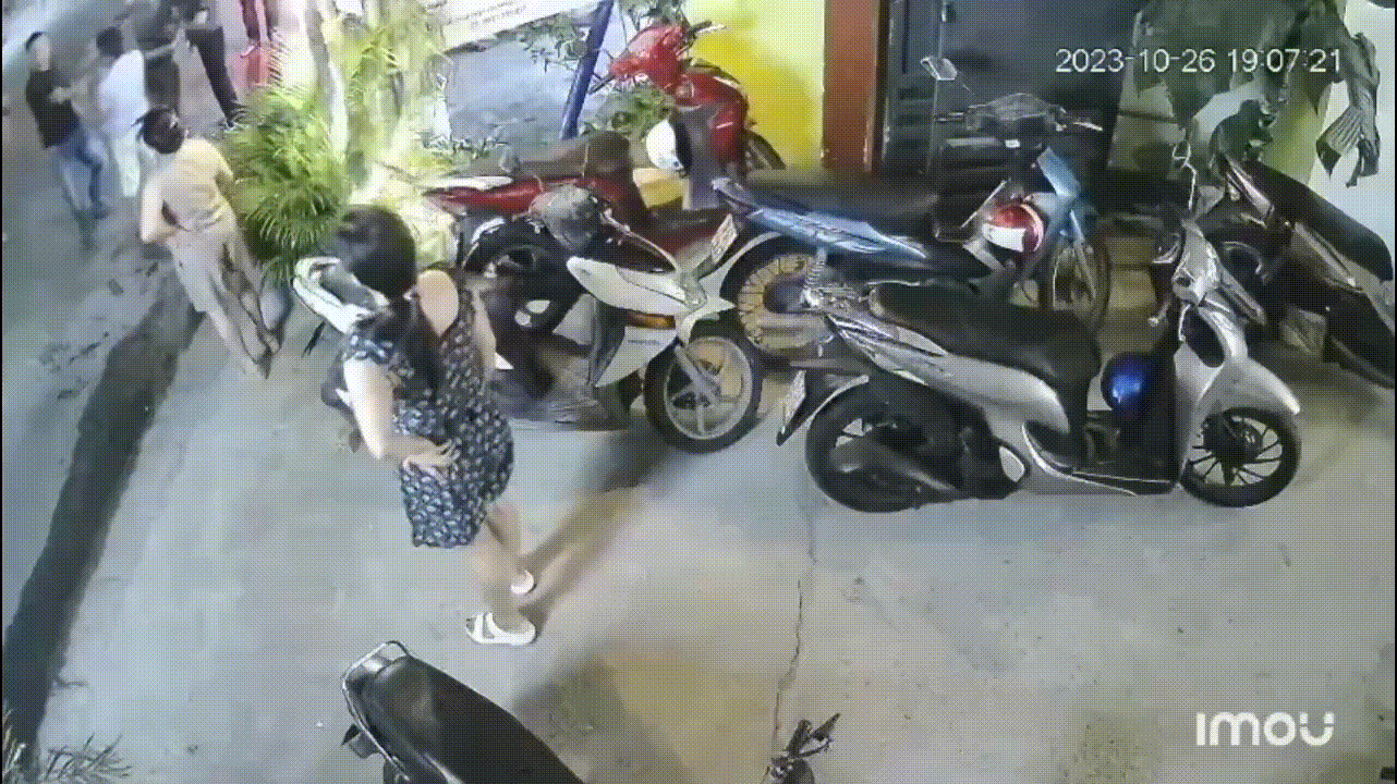 7113798311051.gif