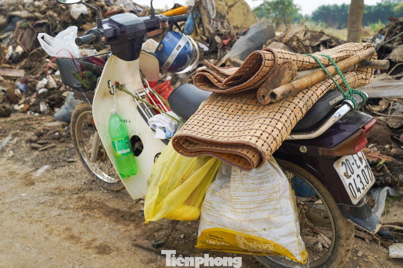 tp-tienphong-17.jpg